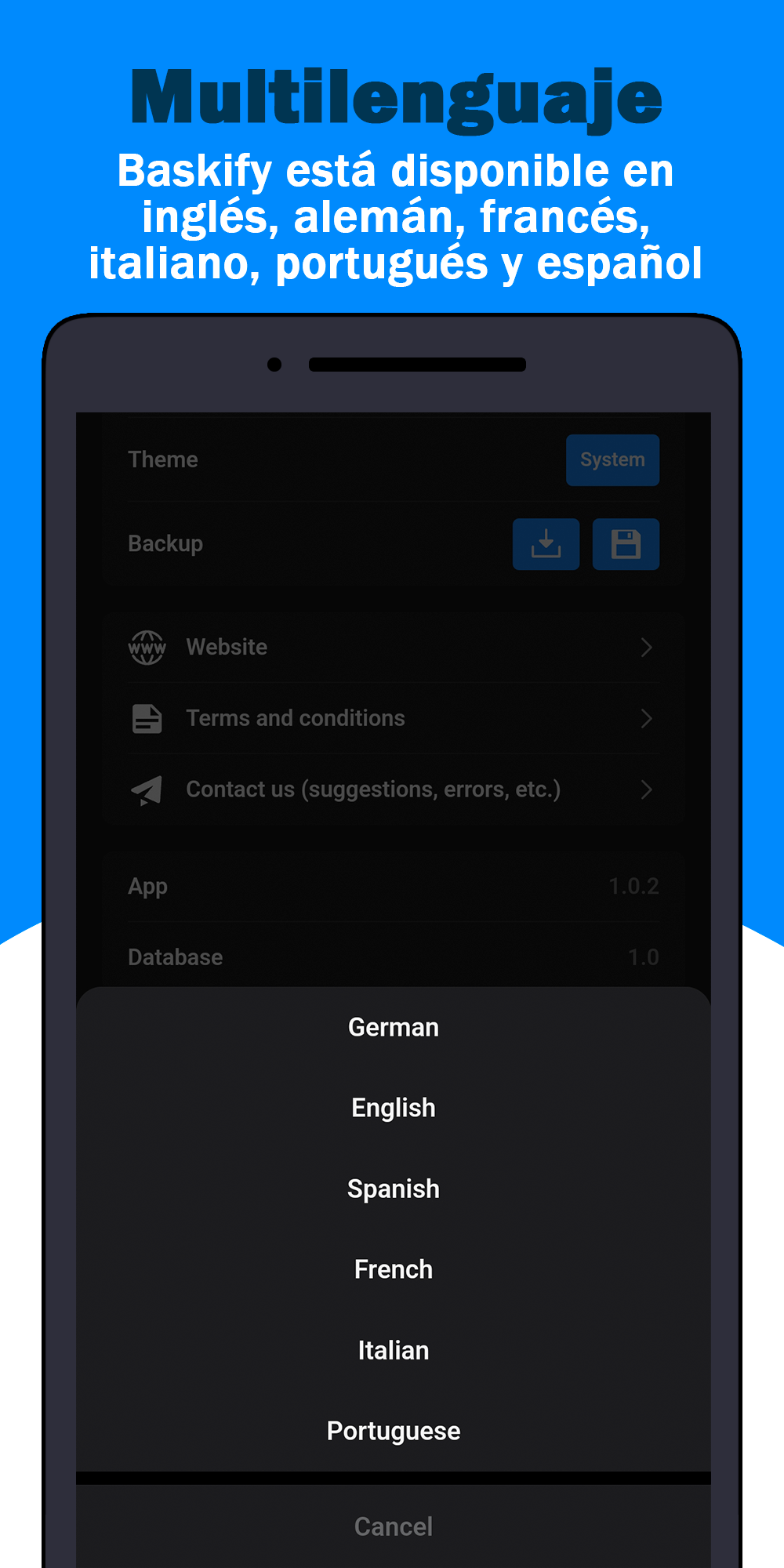 Imagen de galería 4